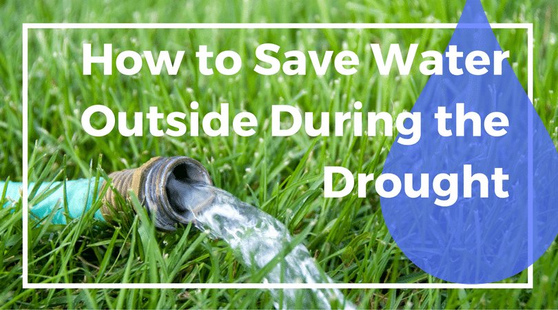 how-to-save-water-outside-during-the-drought