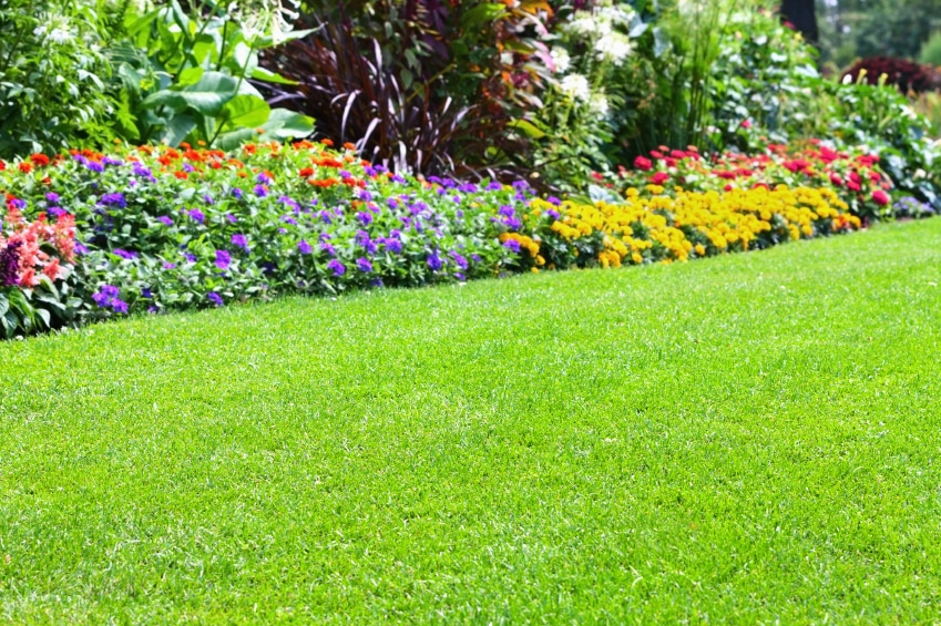 The High Curb Appeal of Artificial Grass