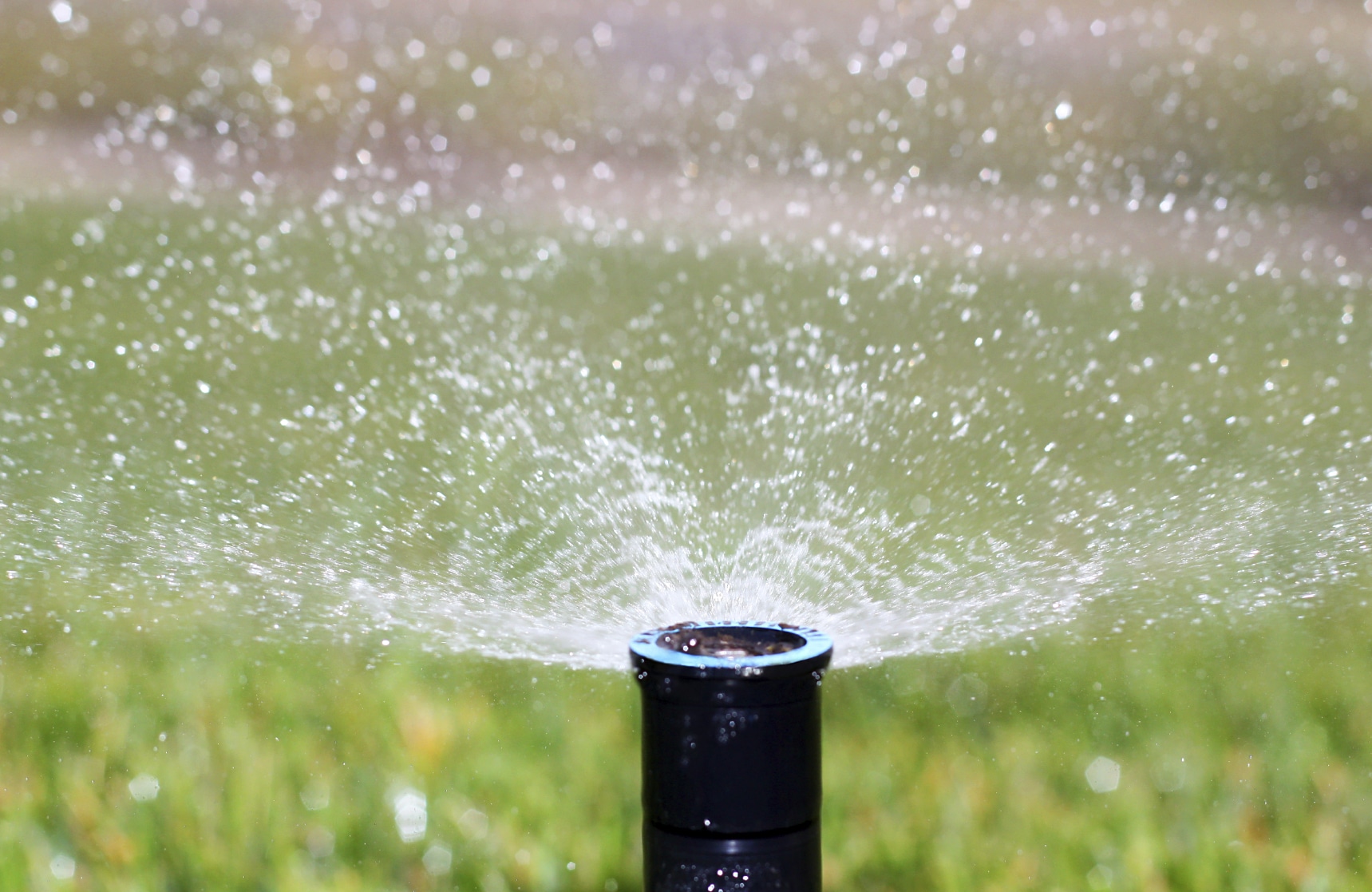 Make 2016 the Year You Cut Back On Irrigation
