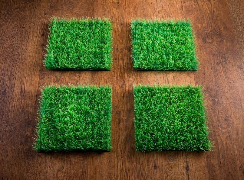 Indoor Sports: Here's Why Artificial Turf Makes Sense
