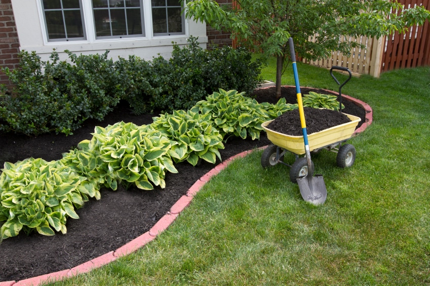 Landscaping Ideas for Your Yard This Year - Artificial Grass Recyclers