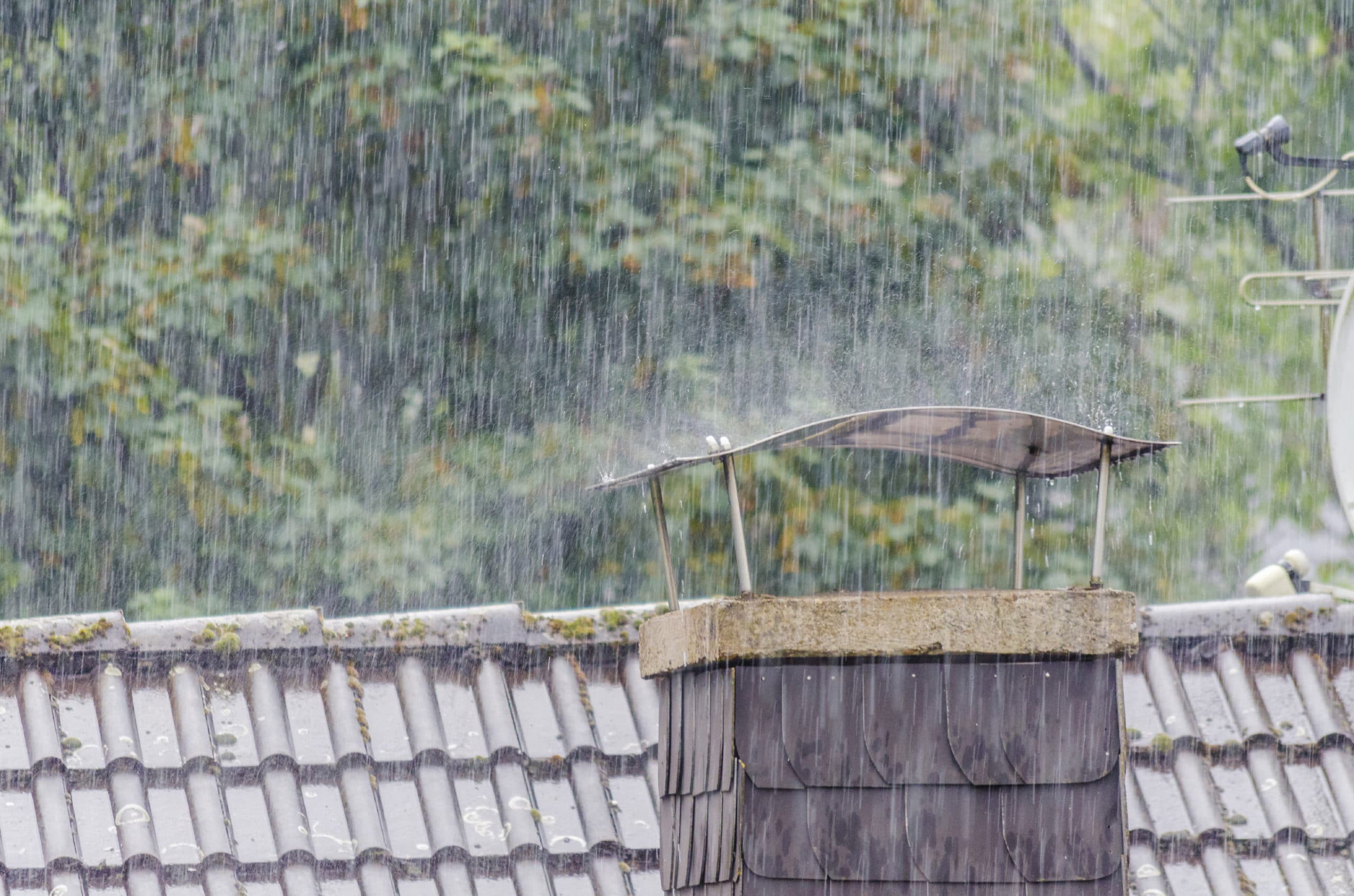 How Homemade Rain Barrels Save Water