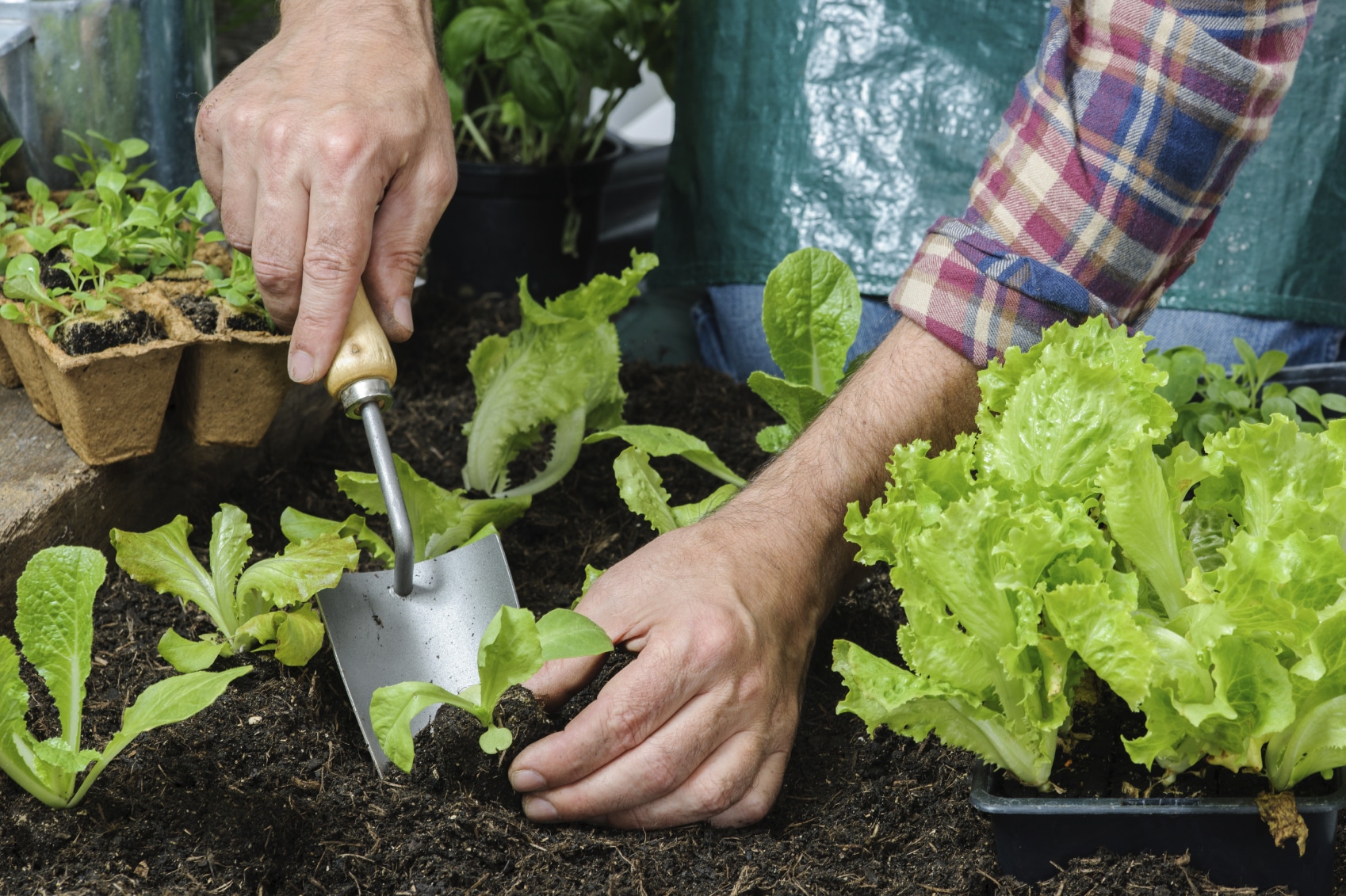 How to Prepare Your Garden for Drought