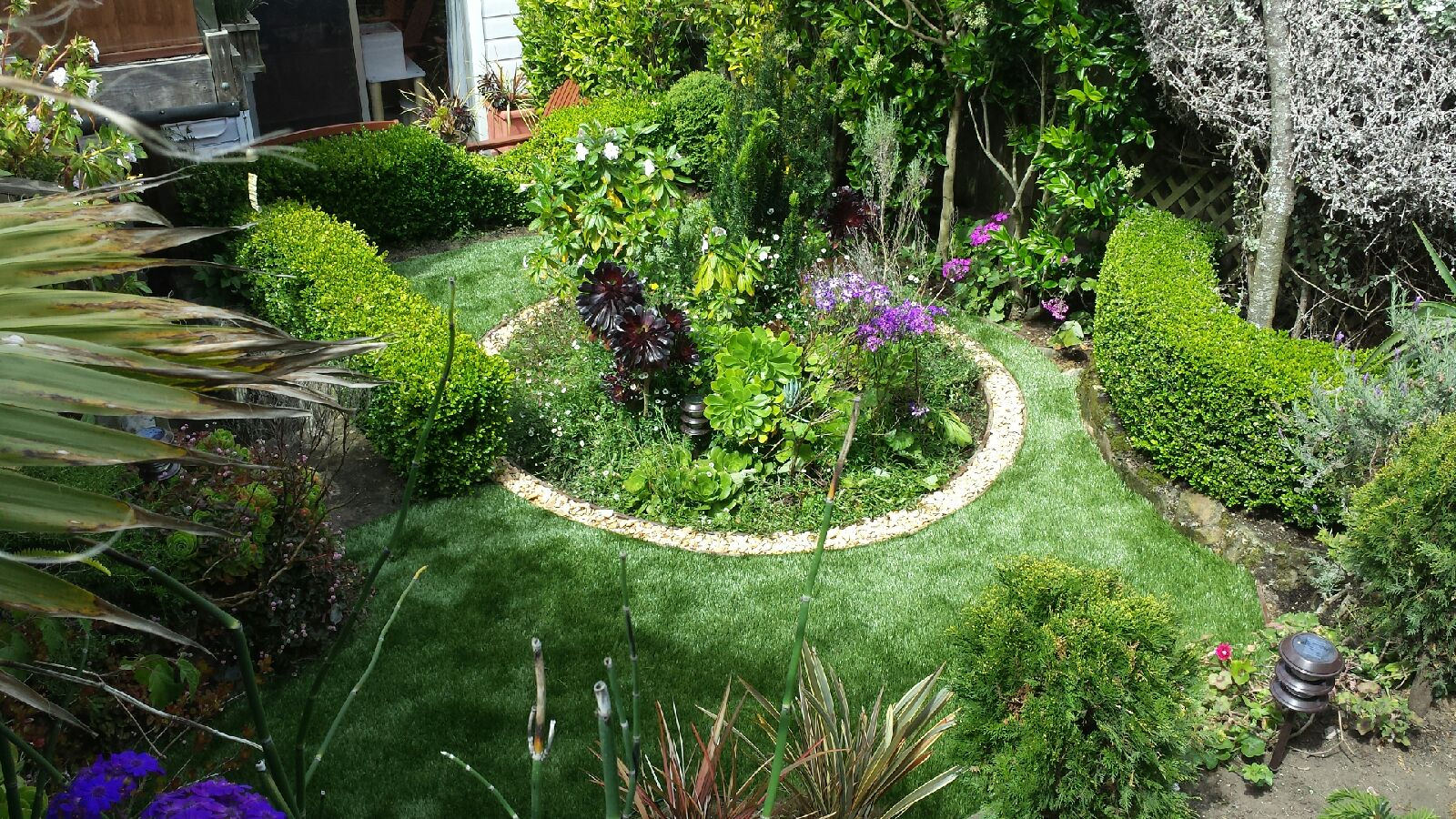 Save Water with These Lawn Alternatives