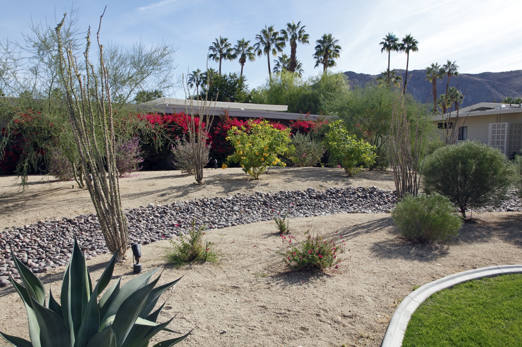 A Look At Several Drought Tolerant Landscaping Options