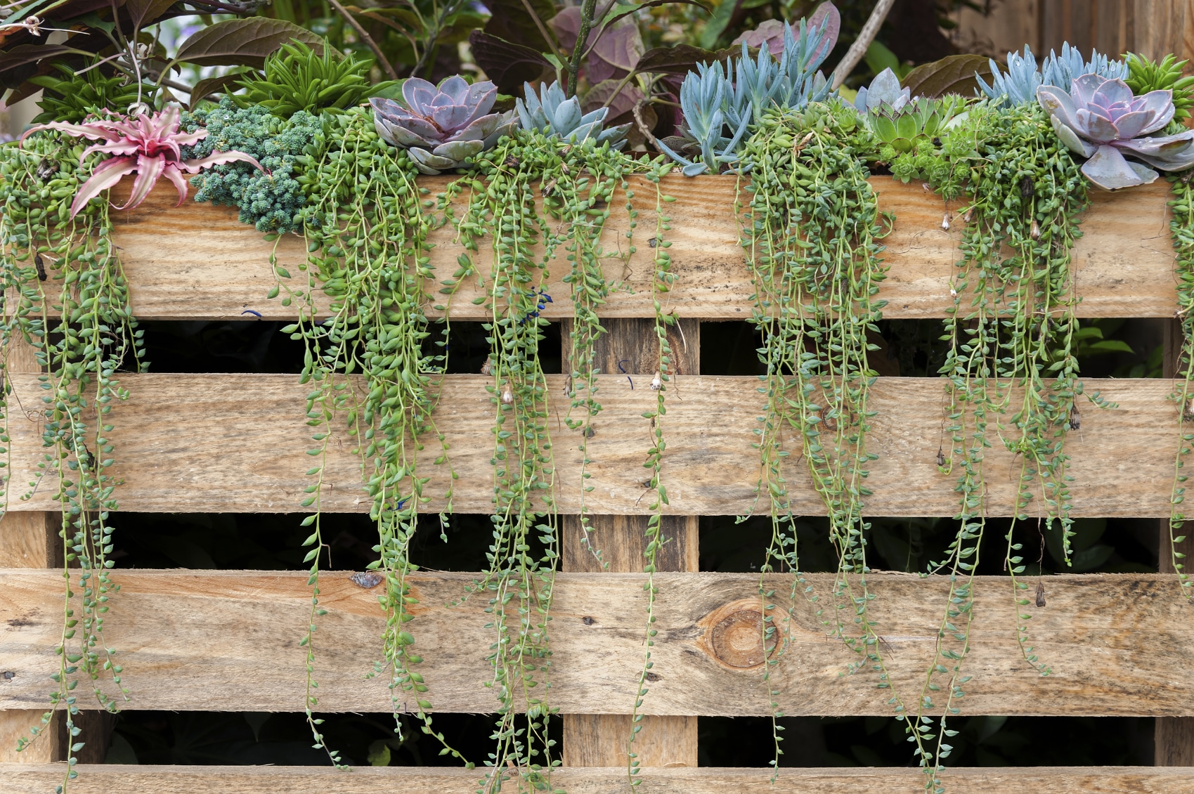 3 Green Ways to Recycle Trash for Your Garden