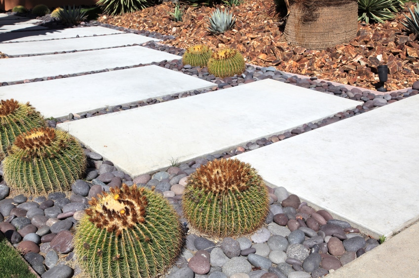 6 Attractive Landscaping Ideas for Your Front Yard