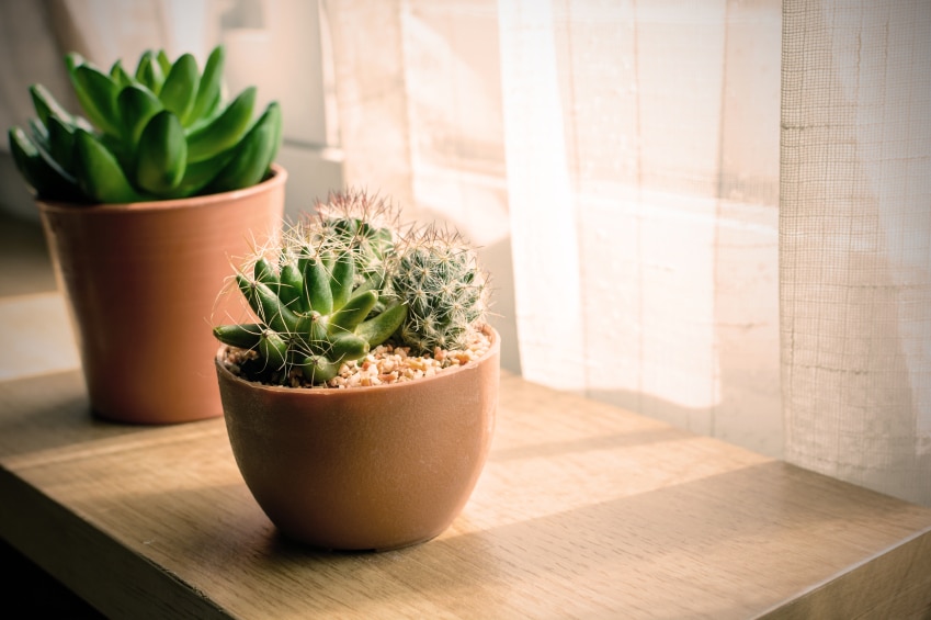 21 Little Ways to Create A Greener Home