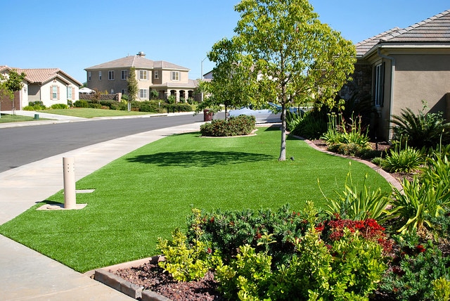 Install Artificial Grass to Overcome the Drought