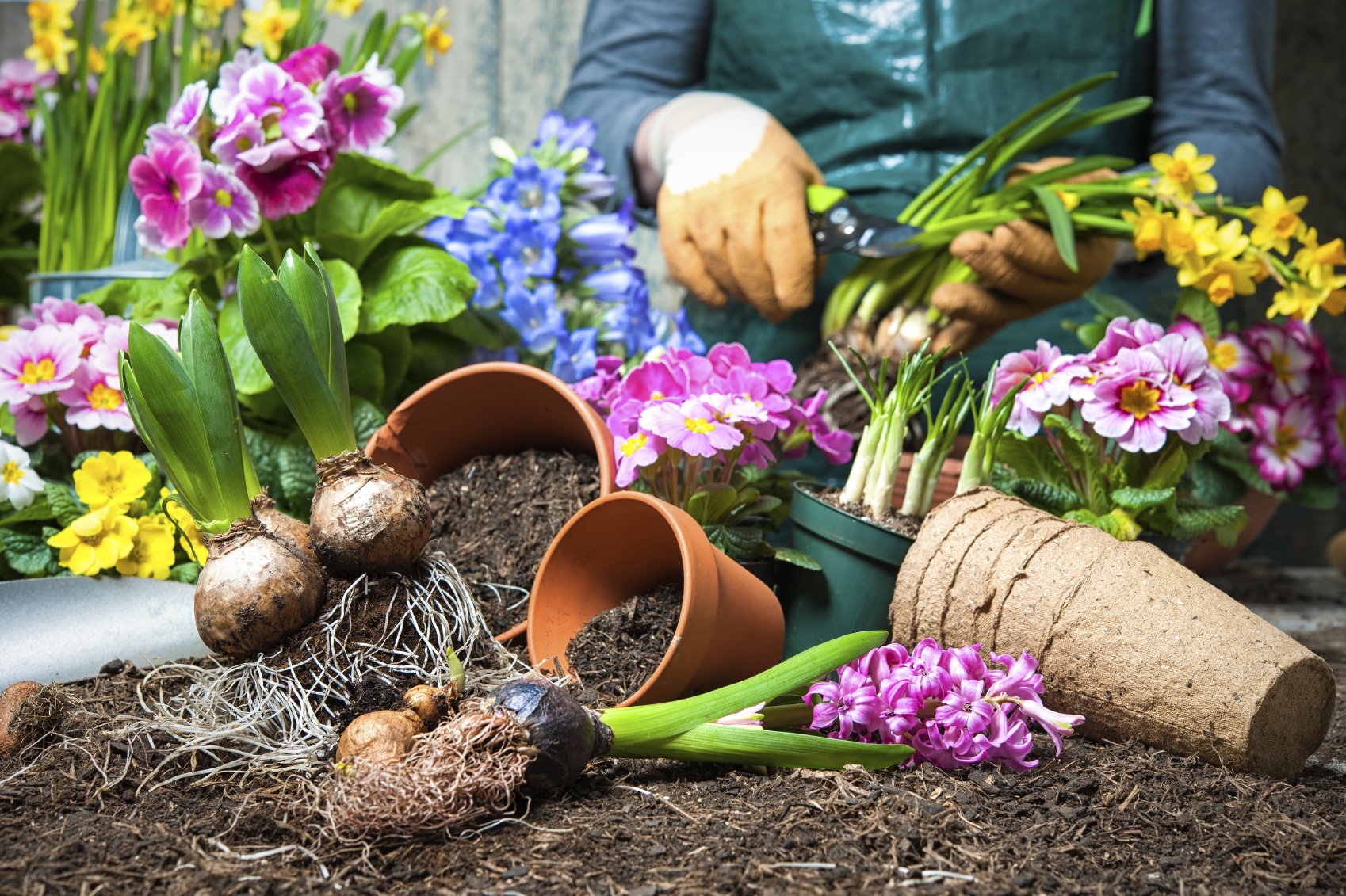 Here’s What You Need to Know About Gardening