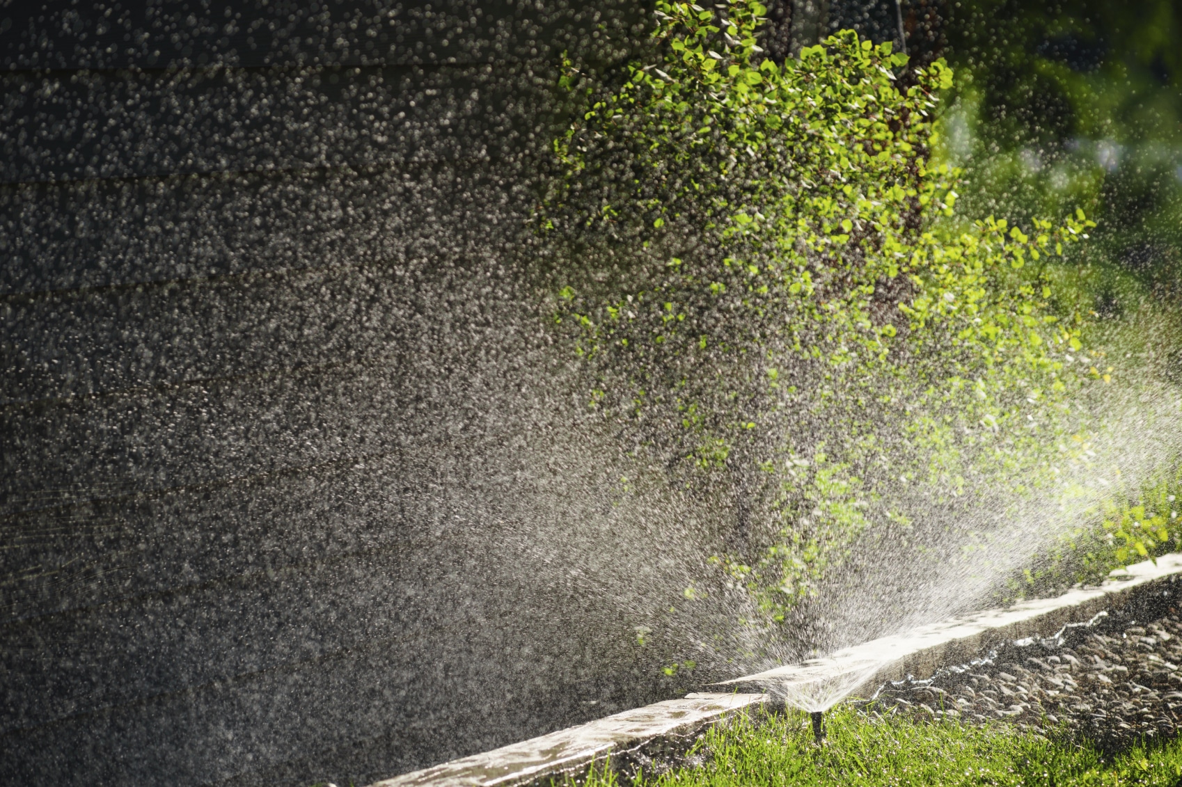 10 Ways You Can Save Water Outdoors At Home