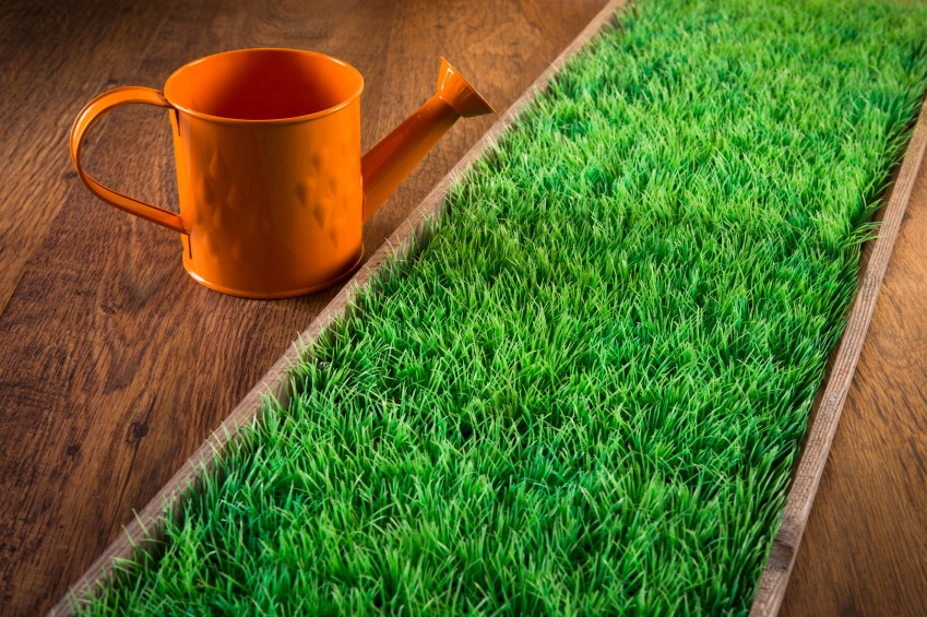 18 Creative Artificial Grass Decorations for Your Home