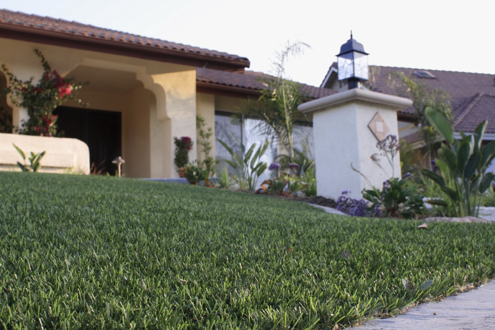 How to Care for Your Lawn During a Drought
