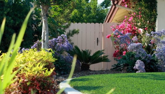 How to Have A Green Lawn Without Breaking the Bank