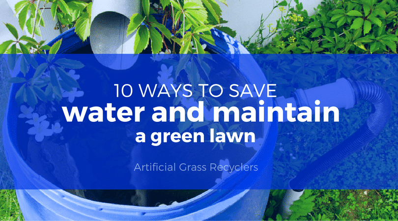 10 Ways to Save Water and Maintain A Green Lawn