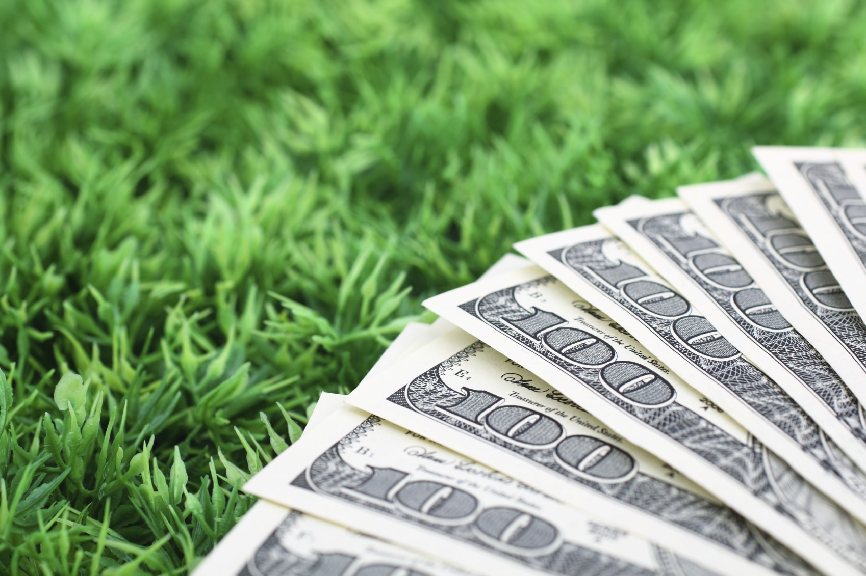 Maximize Your Budget by Knowing the Best Ways to Save Money on a Synthetic Lawn