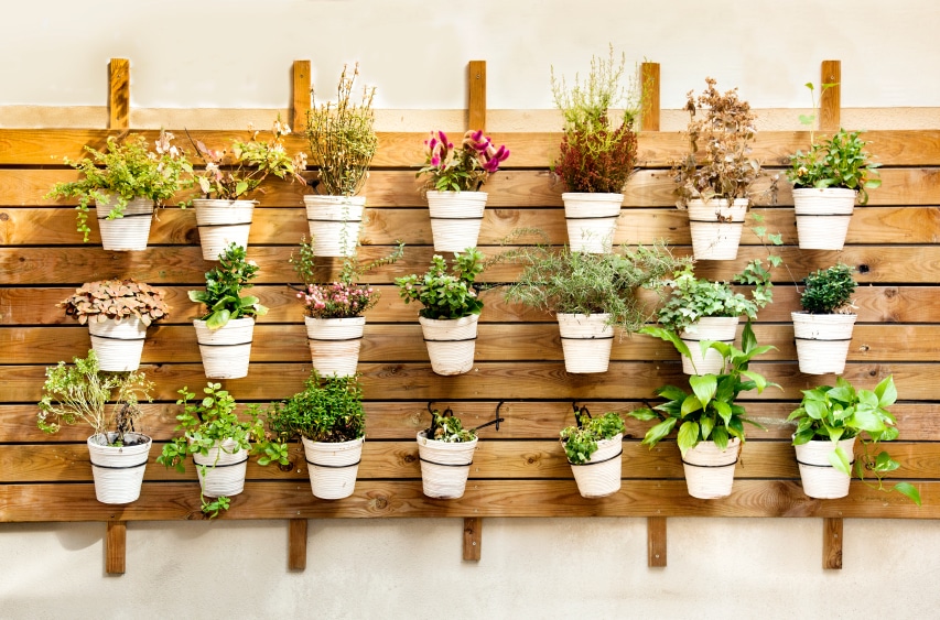 How to Make A Wall Garden Stand Out