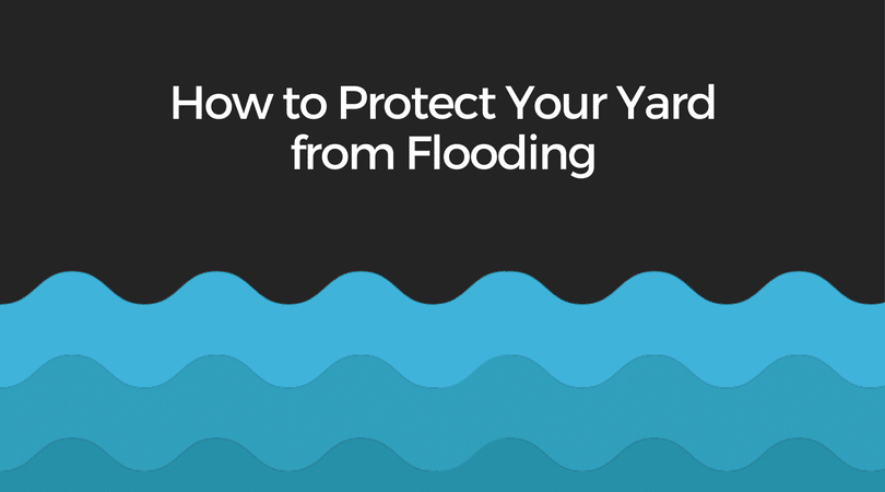 How to Protect Your Yard from Flooding