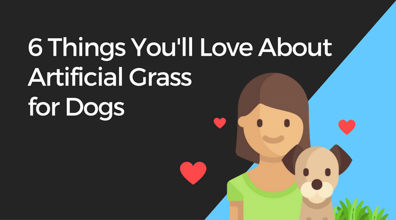 6 Things You'll Love About Artificial Grass for Dogs