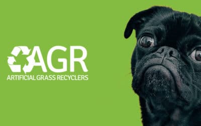 5 Benefits of Installing Recycled Artificial Grass for Dogs