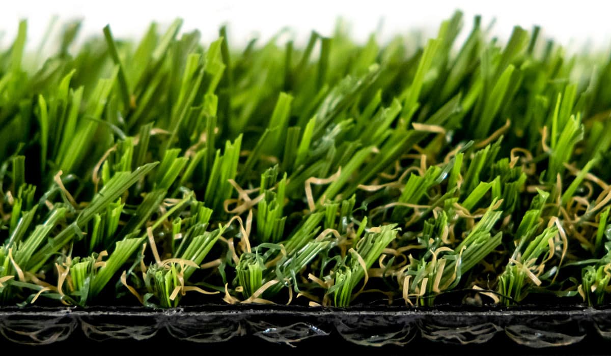 EvoScape-Detail-Photo-02